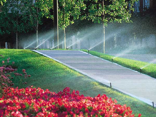 Giardinaggio-economico