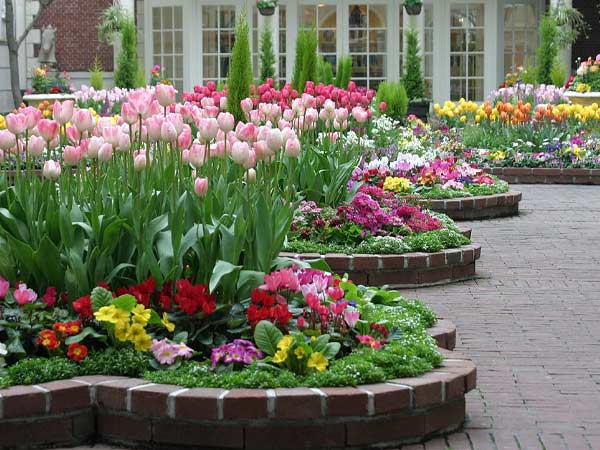 Il-girasole-snc-irrigazione-spilamberto