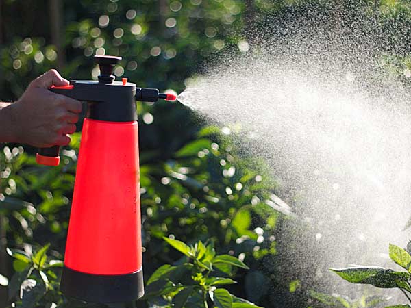 Il-girasole-snc-trattamento-piante-modena