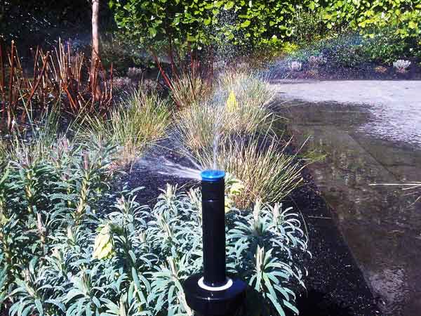 Progettazione-area-verde