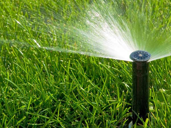 impianti-irrigazione-vigneti-frutteti-Carpi