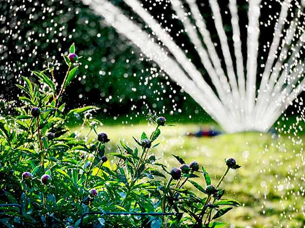 installazione-impianti-irrigazione-Modena