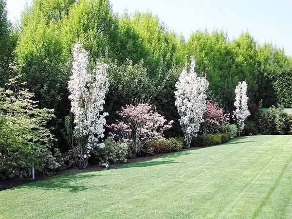 preventivi-realizzazione-parchi-pubblici-Carpi